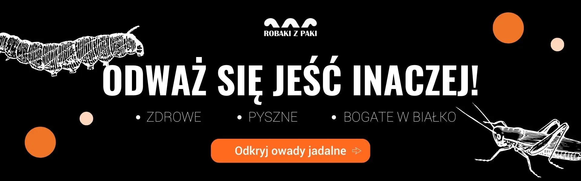 Owady do jedzenia